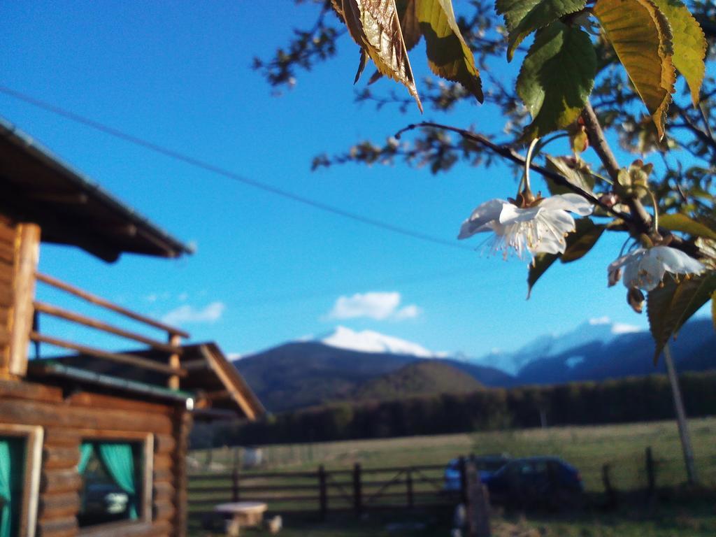 Gasthaus Casa Muntelui - Sambata Sîmbăta de Sus Exterior foto