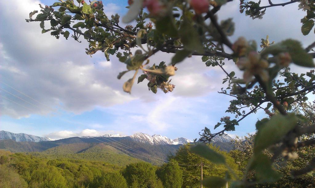 Gasthaus Casa Muntelui - Sambata Sîmbăta de Sus Exterior foto