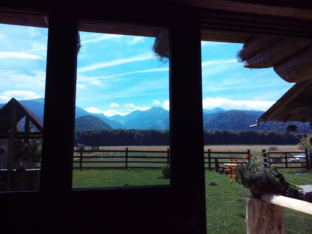 Gasthaus Casa Muntelui - Sambata Sîmbăta de Sus Zimmer foto